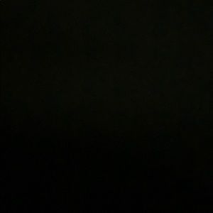 Meet your Posher, Hayley